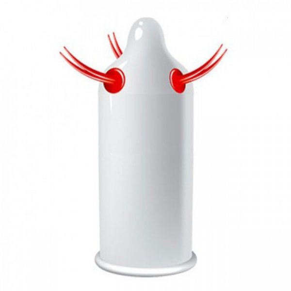 Egzo Cocky Friend Egzo Cocky Friend