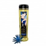 Shunga Erotic Massage Oil Seduction Midnight 240ml Shunga Erotic Massage Oil Seduction Midnight 240ml