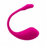 Lovense Lush 2.0 Bullet Vibrator