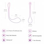 Lovense Lush 2.0 Bullet Vibrator