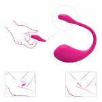 Lovense Lush 2.0 Bullet Vibrator
