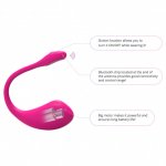 Lovense Lush 2.0 Bullet Vibrator