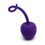 Rimba Paris Kegel Ball Purple