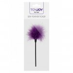 ToyJoy Sexy Feather Tickler Purple
